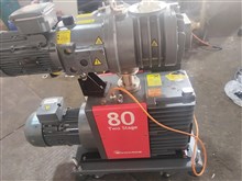 EDWARDS爱德华E2M80+EH250组合泵旋片式真空泵维修保养